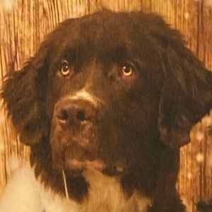 Meet your Posher, Elliot